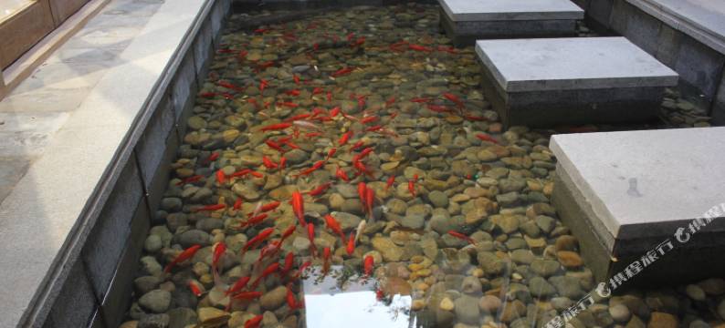 礼泉巷往美宿图片