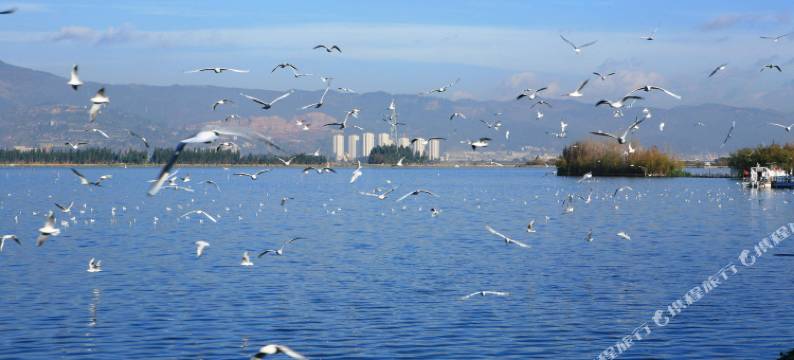 昆明滇池留宿客栈(滇池海埂大坝店)图片