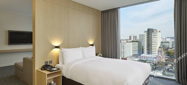 九树帕那斯首尔仁寺洞(NINE TREE BY PARNAS SEOUL INSADONG)图片