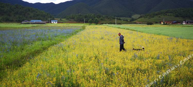 泸沽湖鹊桥山庄图片