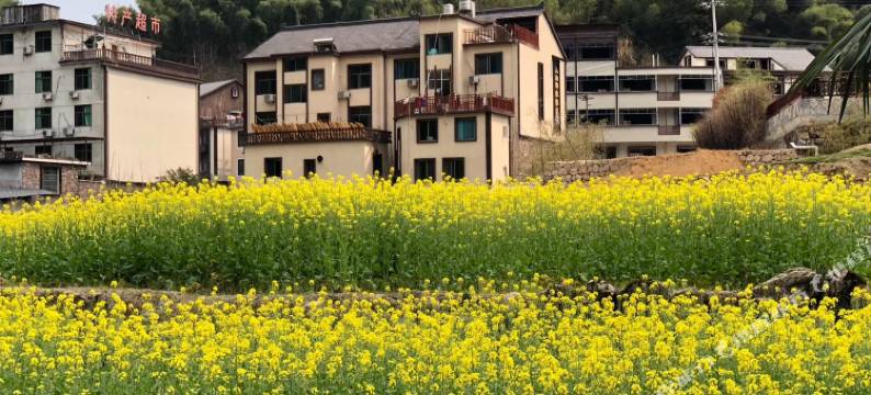 大明山山沟沟农家乐图片