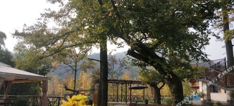 长兴望雅千怡民宿(八都岕景区游客中心店)图片