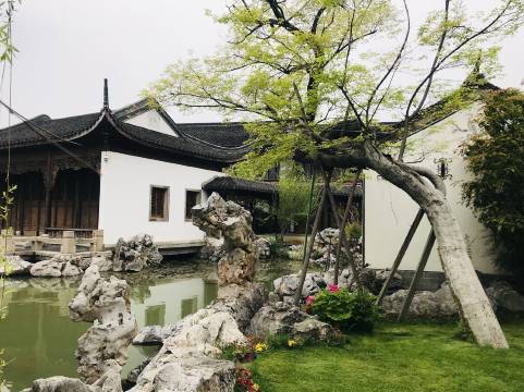 南京颐和芥子园酒店图片