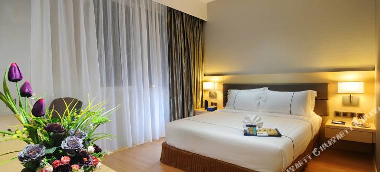新山格拉纳达酒店(Hotel Granada Johor Bahru)图片
