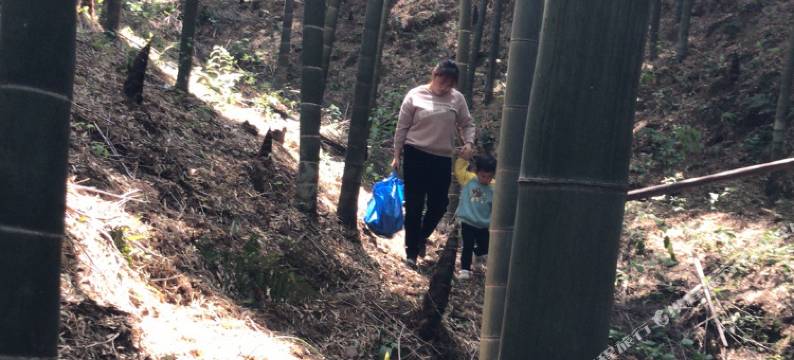溧阳竹音山舍民宿图片