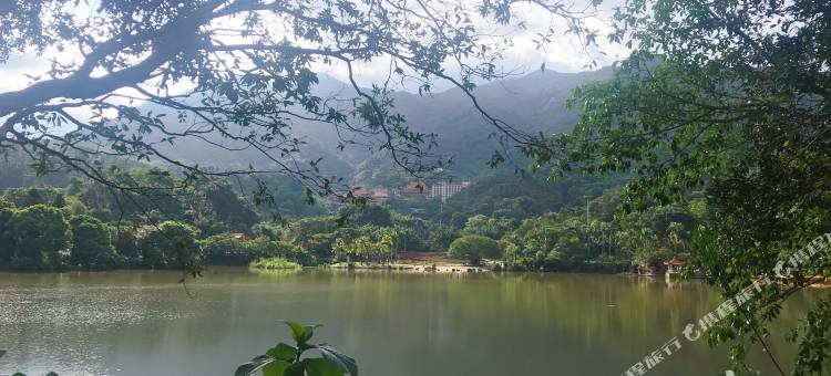 贵宾舍民宿(深圳梧桐山艺术小镇店)图片