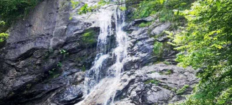 天堂寨天顺度假山庄图片