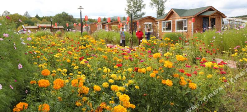 根河敖乡田园木屋宾馆图片