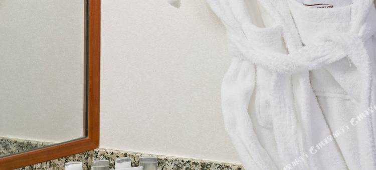 万豪巴黎戴高乐机场酒店(Paris Marriott Charles de Gaulle Airport Hotel)图片