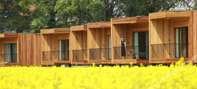 望山生活·巡检司田野度假民宿(婺源严田店)图片