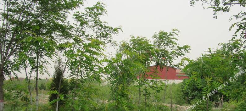 华丰商务宾馆(银川河东国际机场店)图片