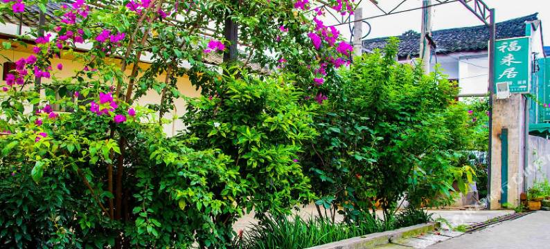 峨眉山福来居图片