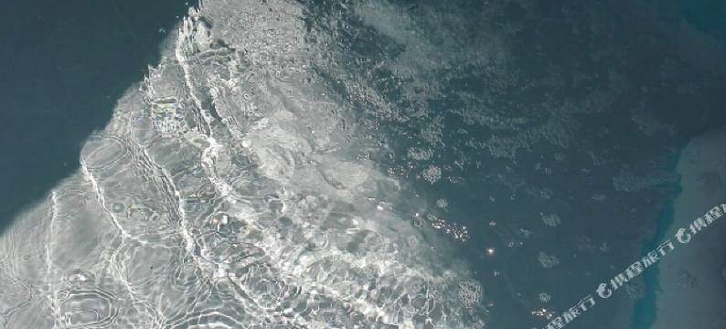 朱家尖久久家客栈图片