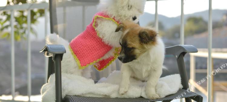 厦门情屋客栈图片