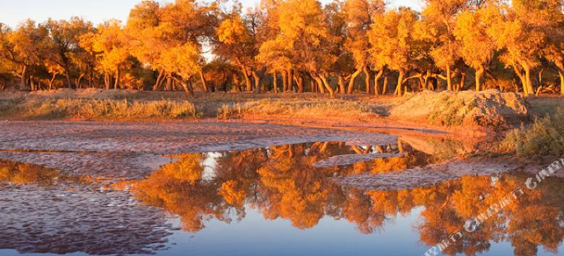 额济纳旗杰隆宾馆图片