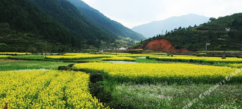 婺源康悦大酒店图片