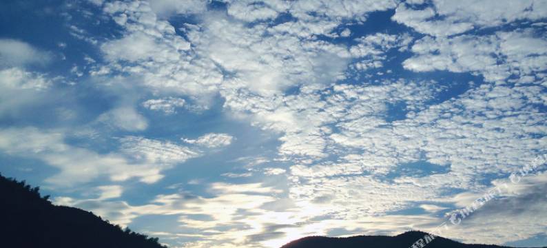 莫干山虫二住家民宿(晓于线1号分店)图片