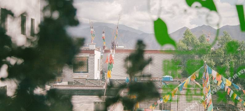 拉萨西城青年客栈图片