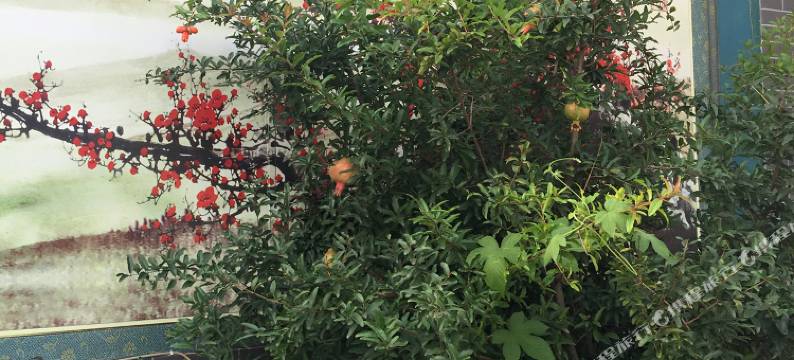 滦县平安如意宾馆图片