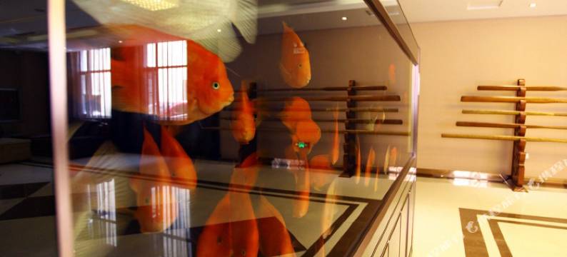 海城天鹅湖温泉宾馆图片