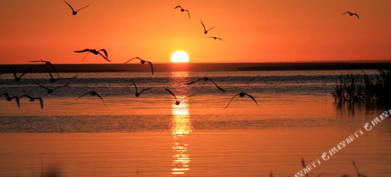 额济纳旗胡杨小镇1号民宿图片
