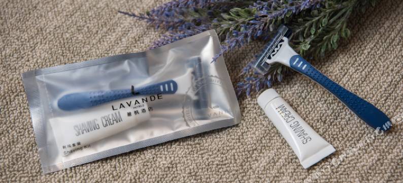 麗枫酒店(广州北京路步行街西门口地铁站店)图片