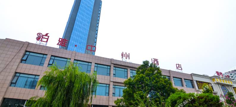 嵩县泊雅中州酒店图片