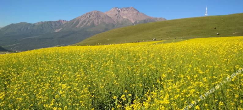 祁连秀萍民宿图片