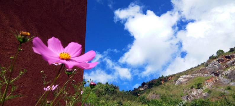 丽江后来客栈图片