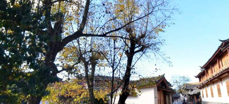 丽江花弥生客栈(忠义市场店)图片