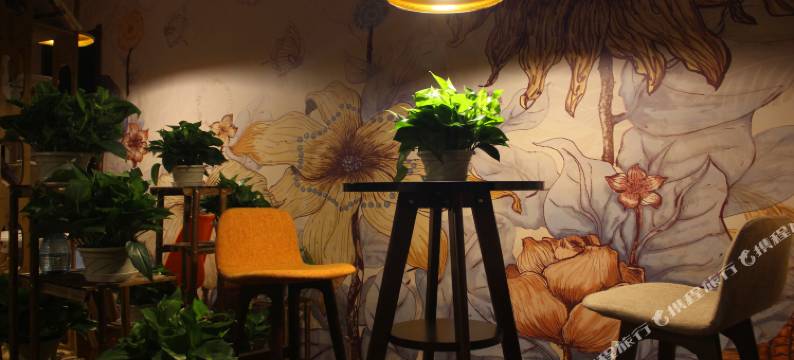 兰州花间青年公寓图片