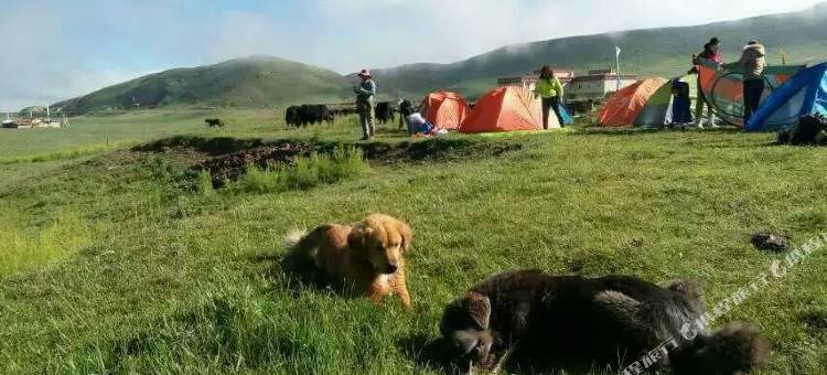 青海湖鸟岛牧人家帐房宾馆图片