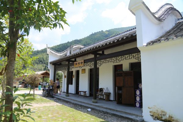 庆元廊桥故里民宿