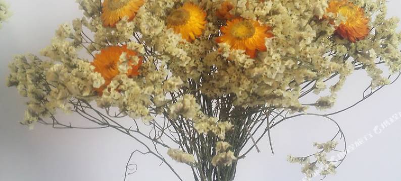 延安自由青年旅舍图片