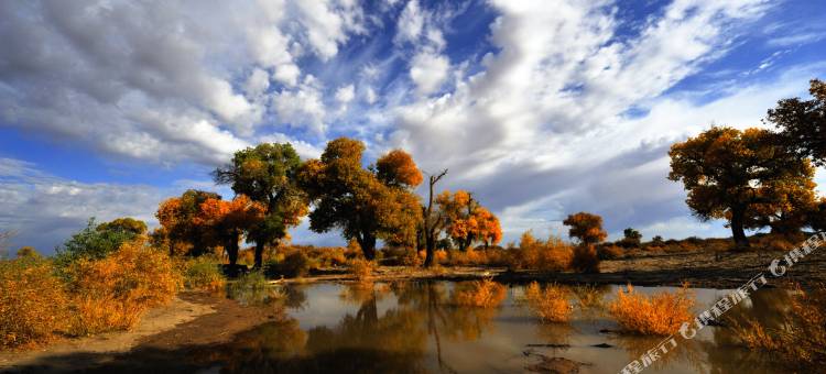 额济纳旗龙顺源大酒店图片