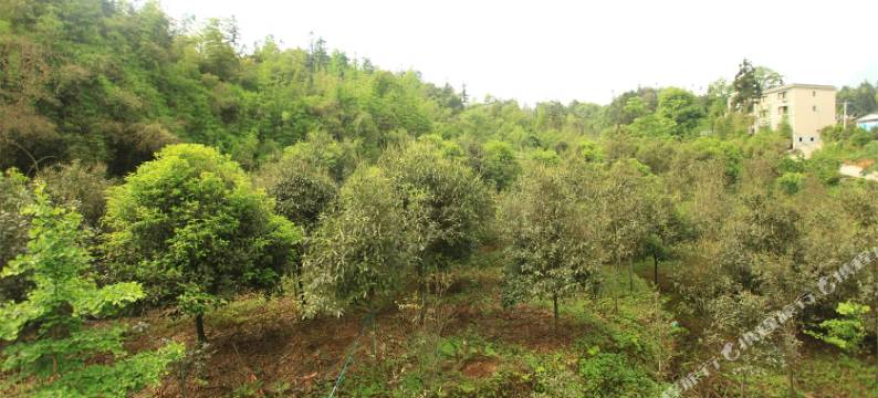 碧峰峡逸甜酒家图片