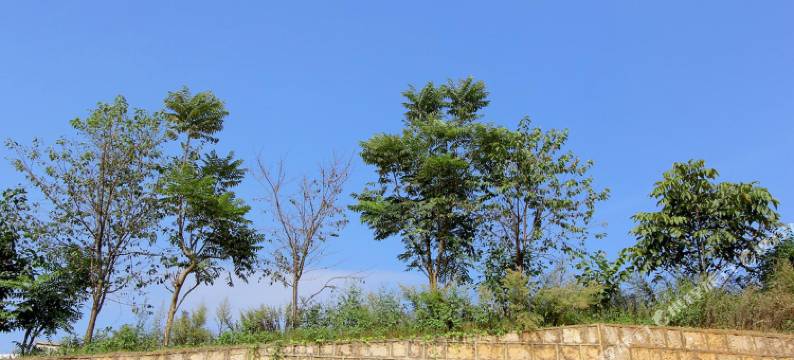 昆明美途酒店图片