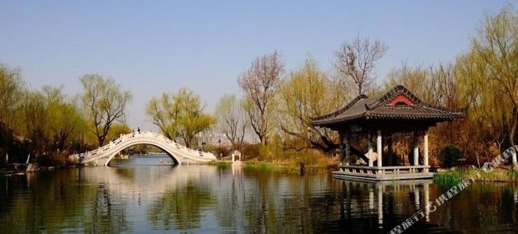 7天优品酒店(济南山大二院红星美凯龙山东1号店)图片