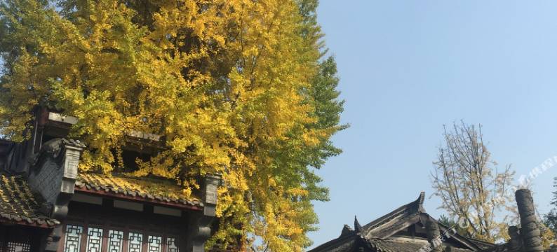 街子古镇古月人家客栈图片