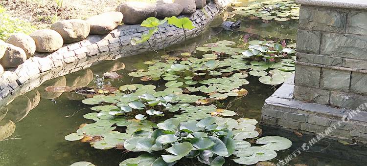 速8酒店(上海奥特莱斯芦沈路店)图片