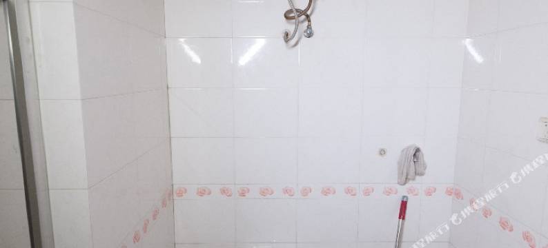 天津城中诚民宿图片