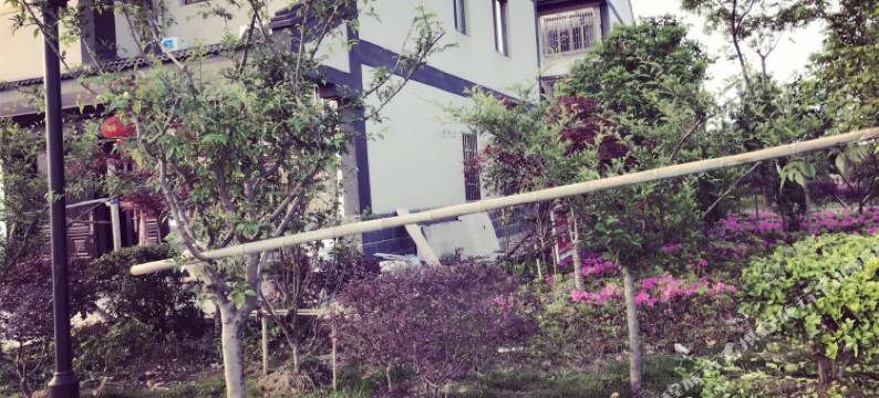 乌镇鑫愉小驻住宿图片