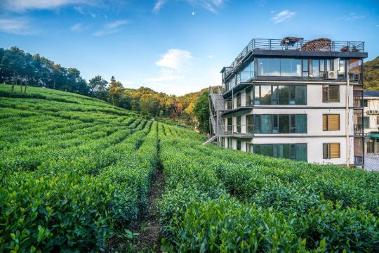 杭州堂庭青芝坞民宿