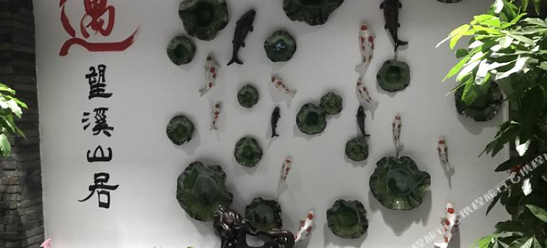 杭州龙门遇·望溪山庄图片