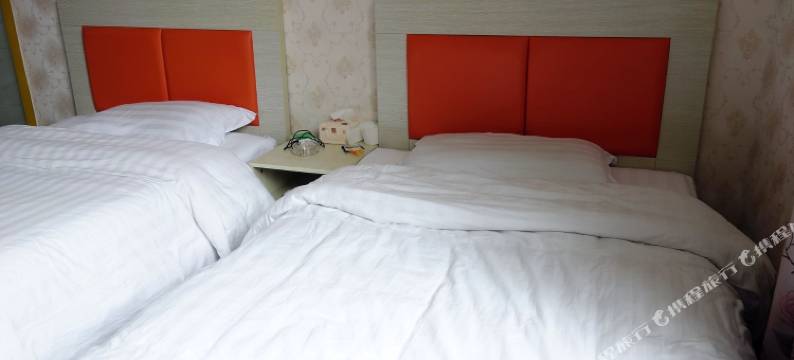 上海树叶子宾馆图片