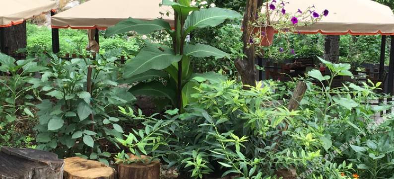 曼谷山庄(青龙峡神堂峪店)图片