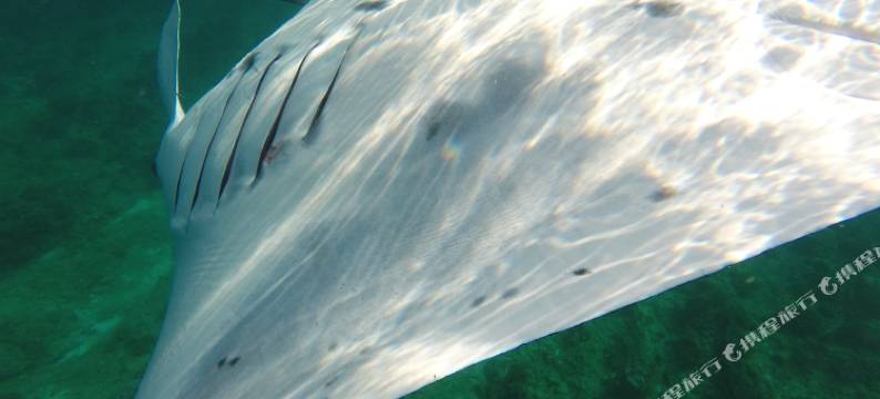 拉斯胡假日花园酒店(Holiday Garden Rasdhoo)图片