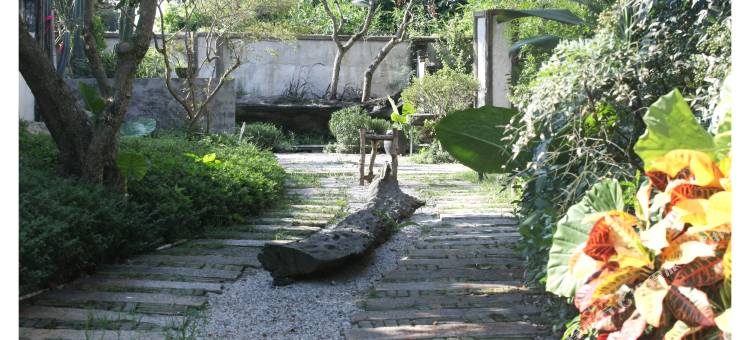 厦门杨雪的花草生活民宿图片