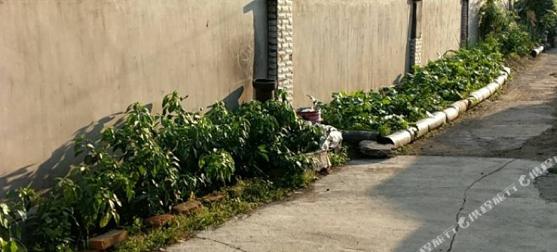 辉南顺意招待所图片