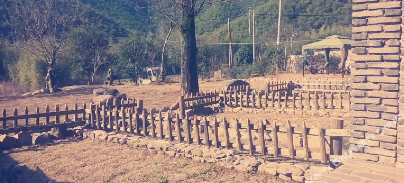 莫干山清林·闲庭山庄图片